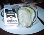 oyster2.jpg
